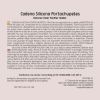 Cajita Chupete Rosa Divertido + Cadenita de silicona Cisne, texto a elegir